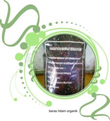 Agen Beras Organik Malang